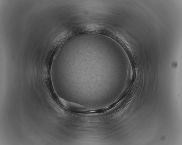 X0000095550597200712141557