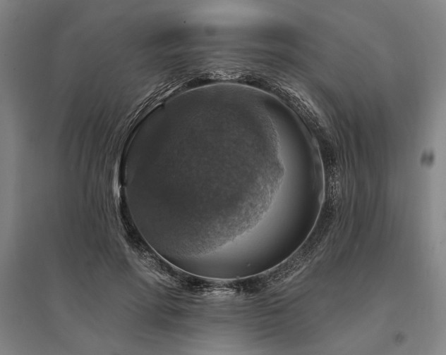 X0000095550598200712141557