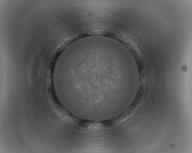 X0000095550599200712141557