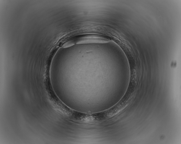 X0000095550600200712141557