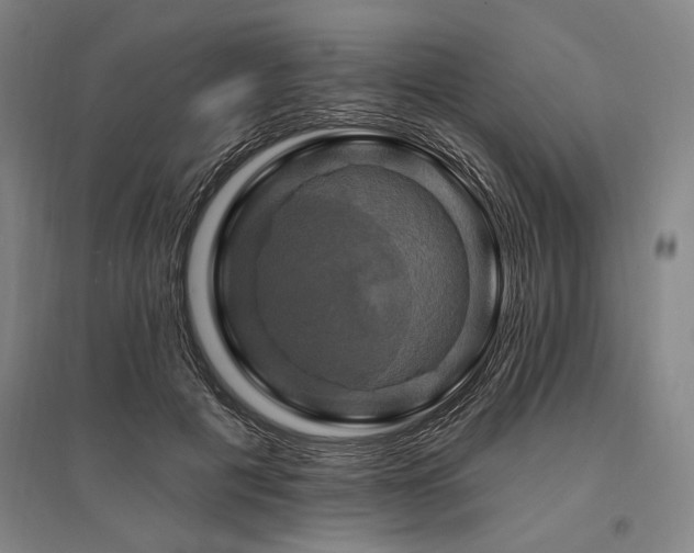 X0000095550601200712141557