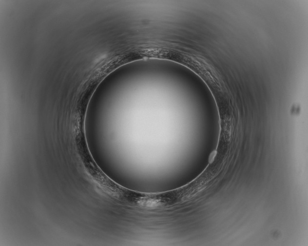 X0000095550602200712141557