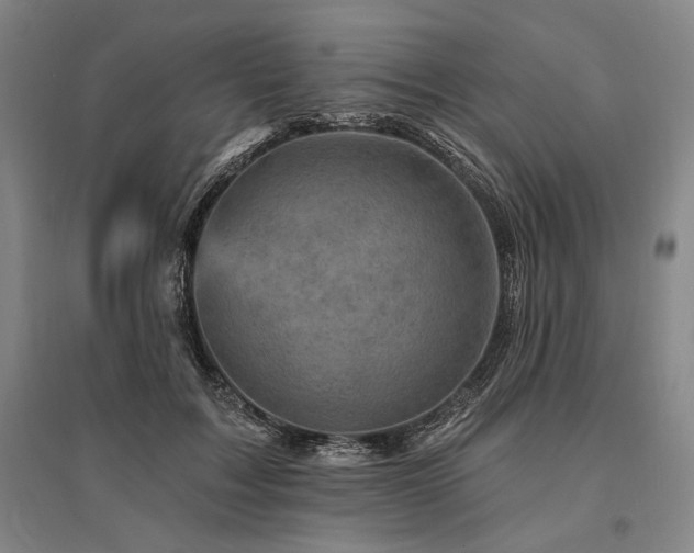 X0000095550603200712141557