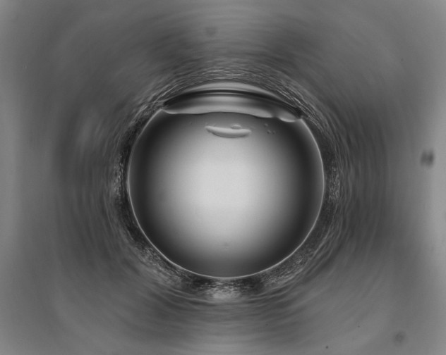 X0000095550604200712141557