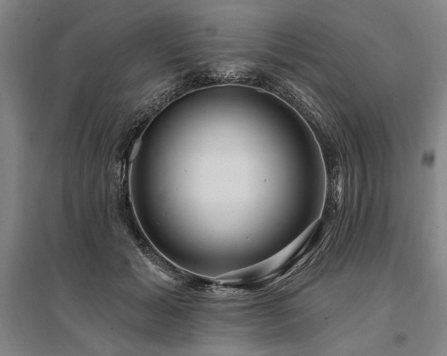 X0000095550605200712141557