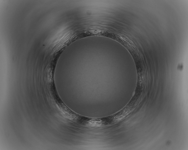 X0000095550606200712141557