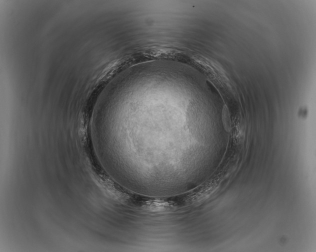 X0000095550607200712141557