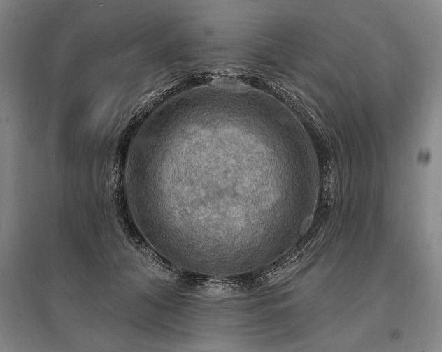 X0000095550608200712141557