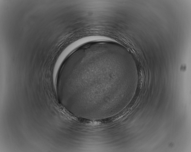 X0000095550609200712141557