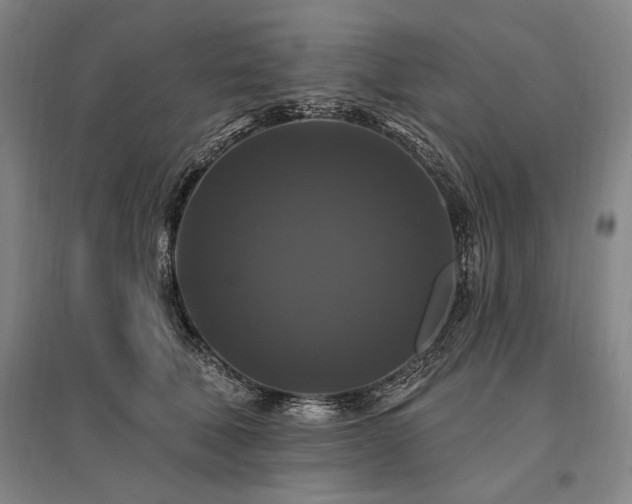 X0000095550610200712141557