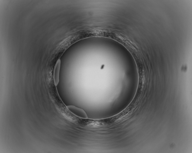 X0000095550611200712141557