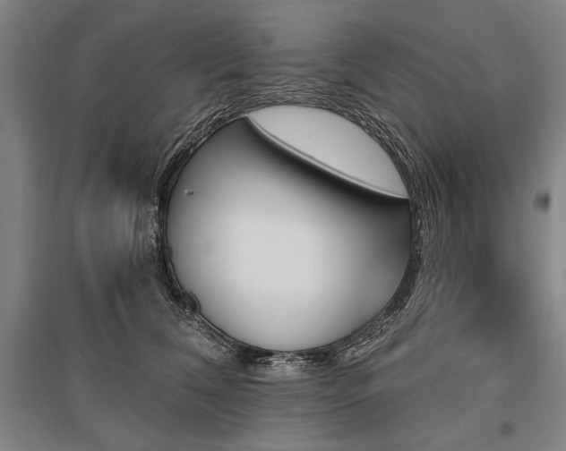 X0000095550612200712141557