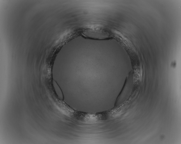 X0000095550613200712141557