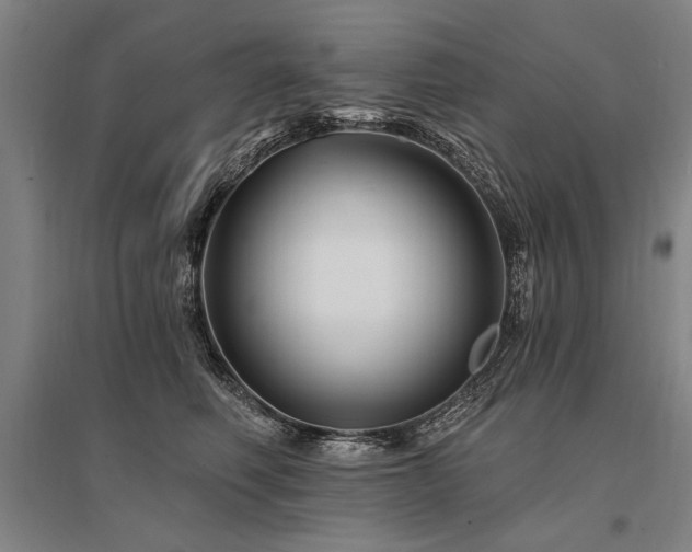 X0000095550614200712141557