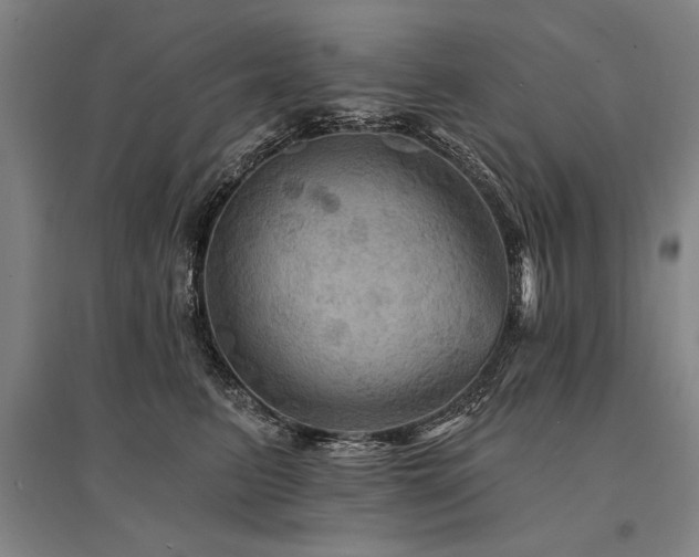 X0000095550615200712141557