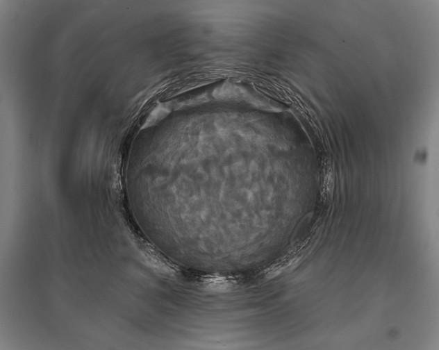 X0000095550616200712141557