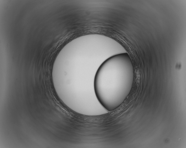 X0000095550617200712141557