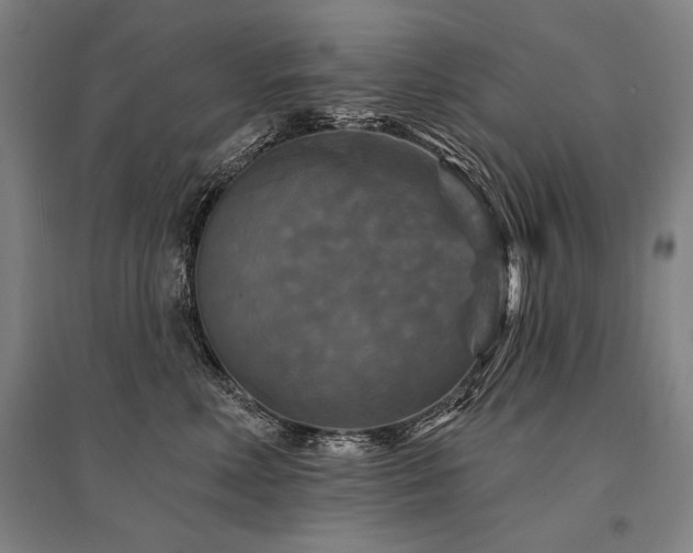 X0000095550618200712141557