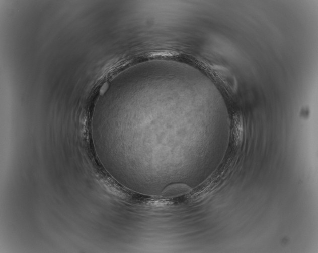 X0000095550619200712141557