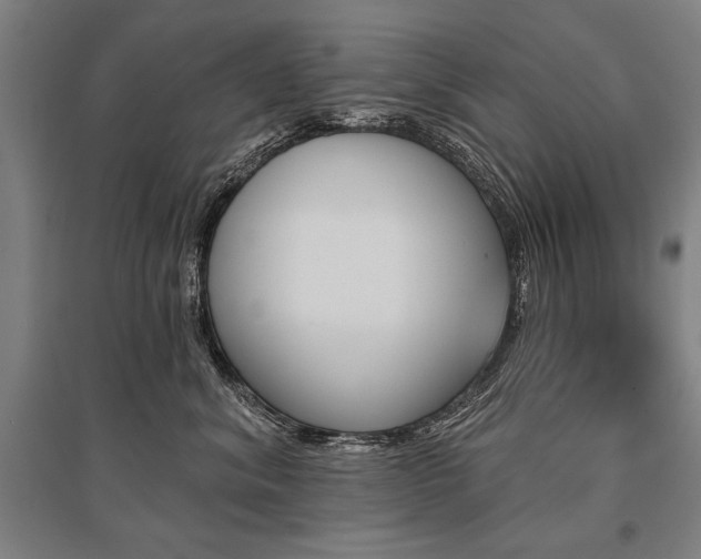 X0000095550620200712141557