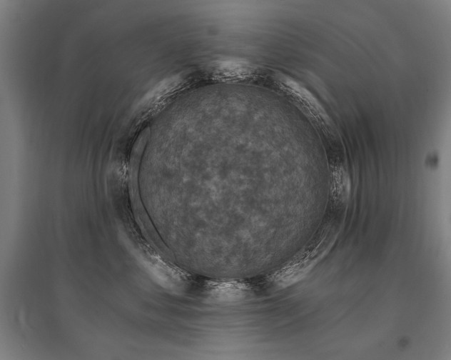 X0000095550621200712141557