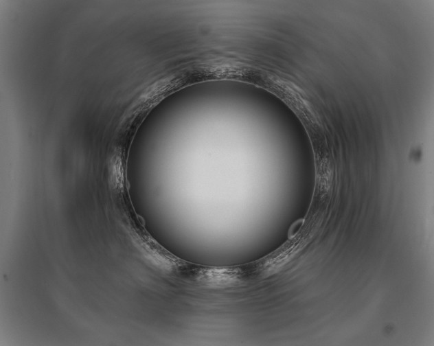 X0000095550622200712141557