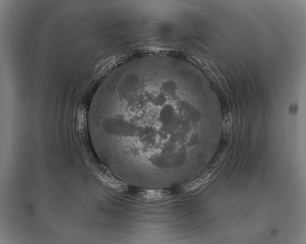 X0000095550623200712141556