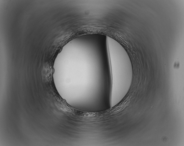 X0000095550624200712141556