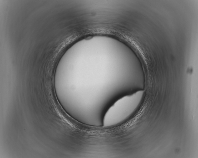 X0000095550625200712141556