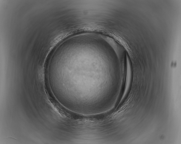 X0000095550626200712141556