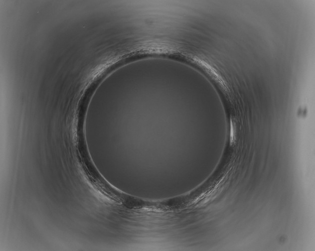 X0000095550627200712141556