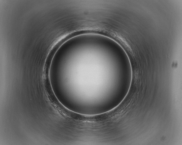 X0000095550628200712141556