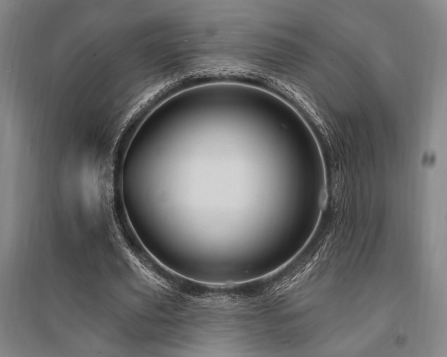 X0000095550629200712141556