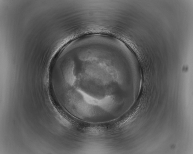 X0000095550630200712141556