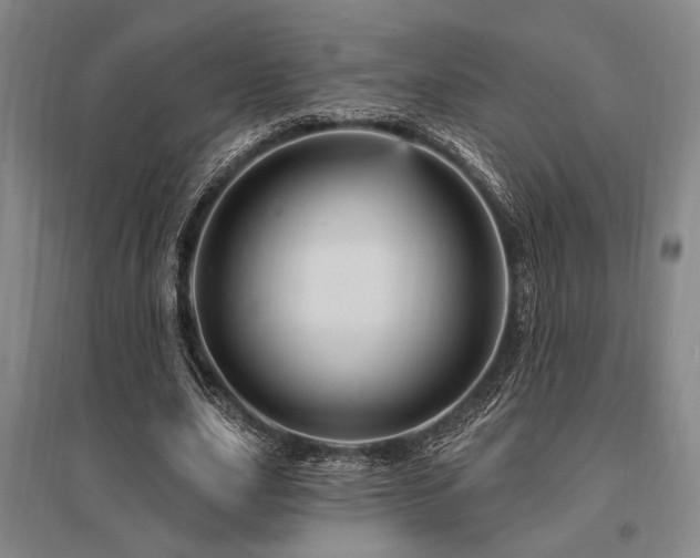 X0000095550631200712141556