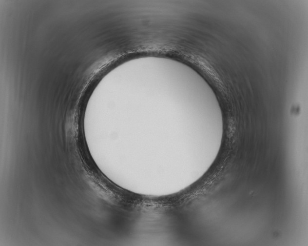 X0000095550632200712141556