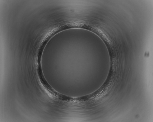 X0000095550634200712141556