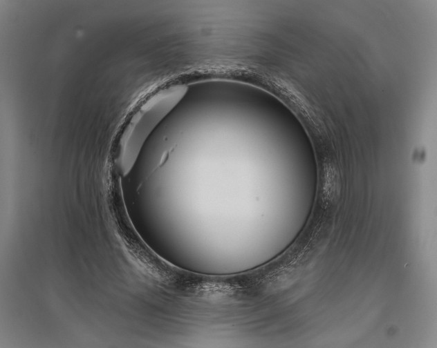 X0000095550636200712141556