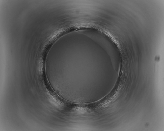 X0000095550637200712141556