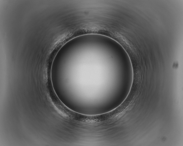 X0000095550638200712141556