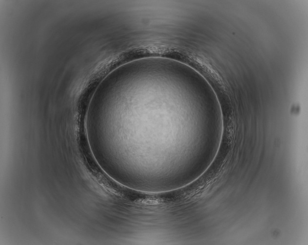 X0000095550639200712141556