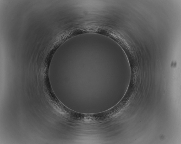 X0000095550641200712141556