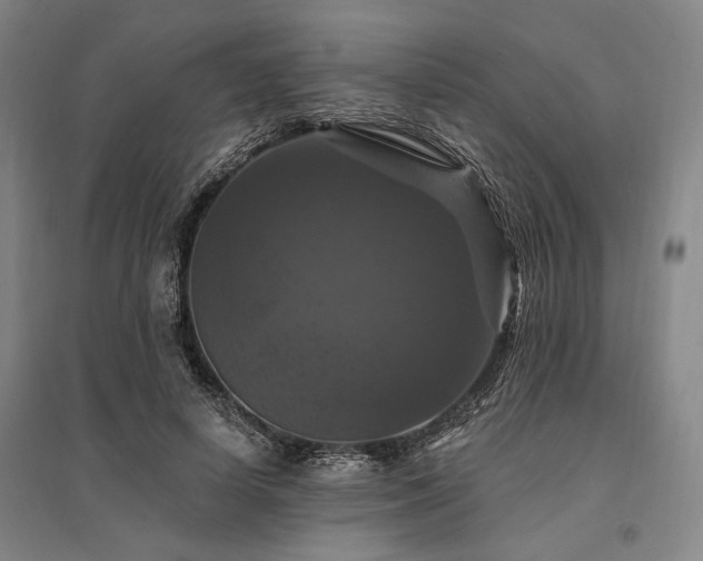 X0000095550642200712141556