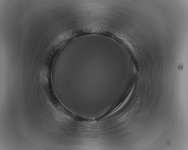 X0000095550643200712141556