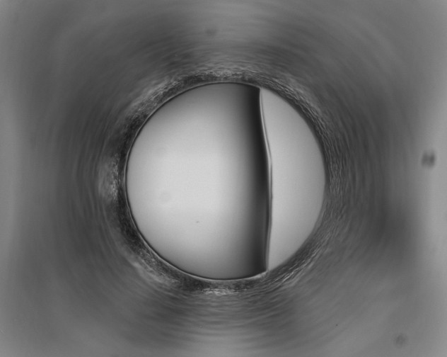 X0000095550644200712141556