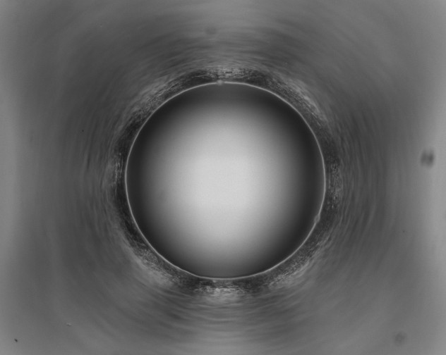 X0000095550645200712141556