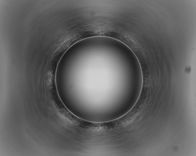 X0000095550646200712141556