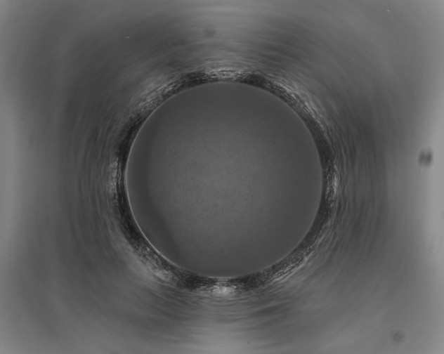 X0000095550647200712141556