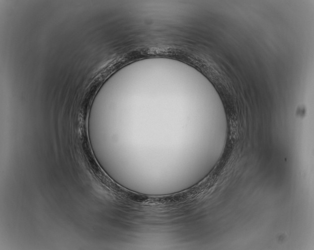 X0000095550648200712141556