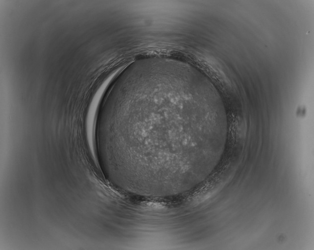 X0000095550649200712141556